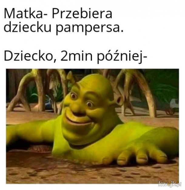 ile nfz dopłaca do 1 pieluchomajtki