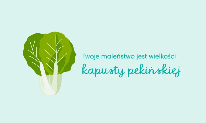 gdzie w krakowie kupić pieluchy firmy rafa