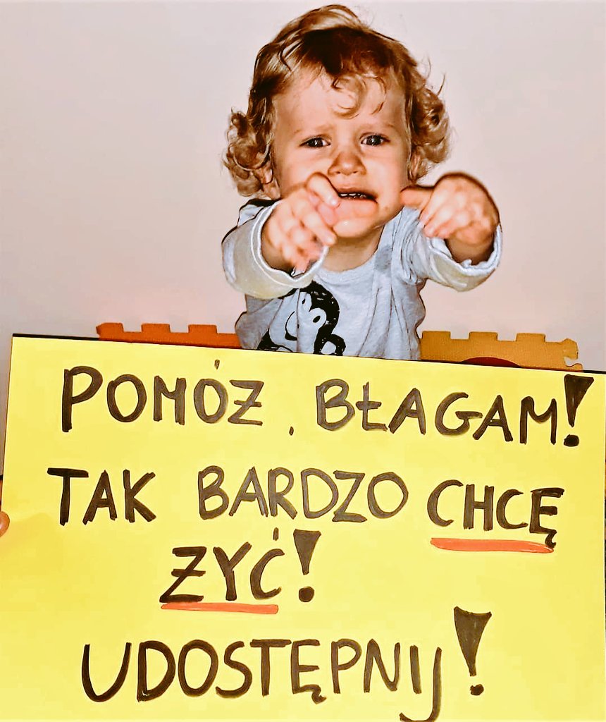 pampers chusteczki 12