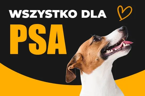 pieluchy dla dorosłych super chłonne