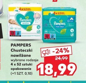 pampers p 101pm