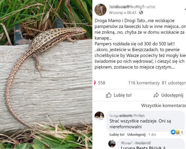 ile kosztuje jeden pampers