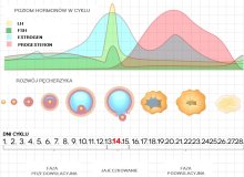 odliczenie wydatków na pieluchomajtki