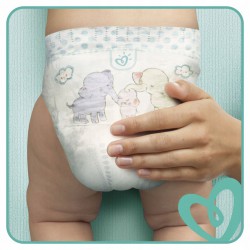 pampers newborn 1 cena 43 szt