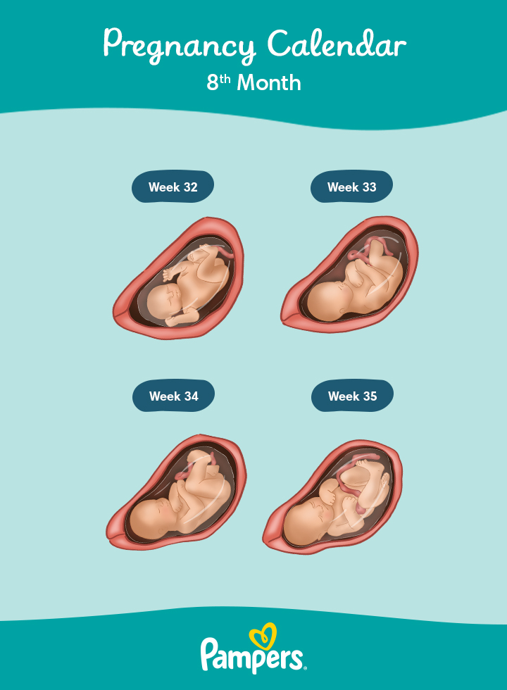 pieluchomajtki pampers 4 empik