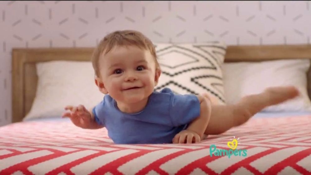 pampers premium care pants 3 ceneo