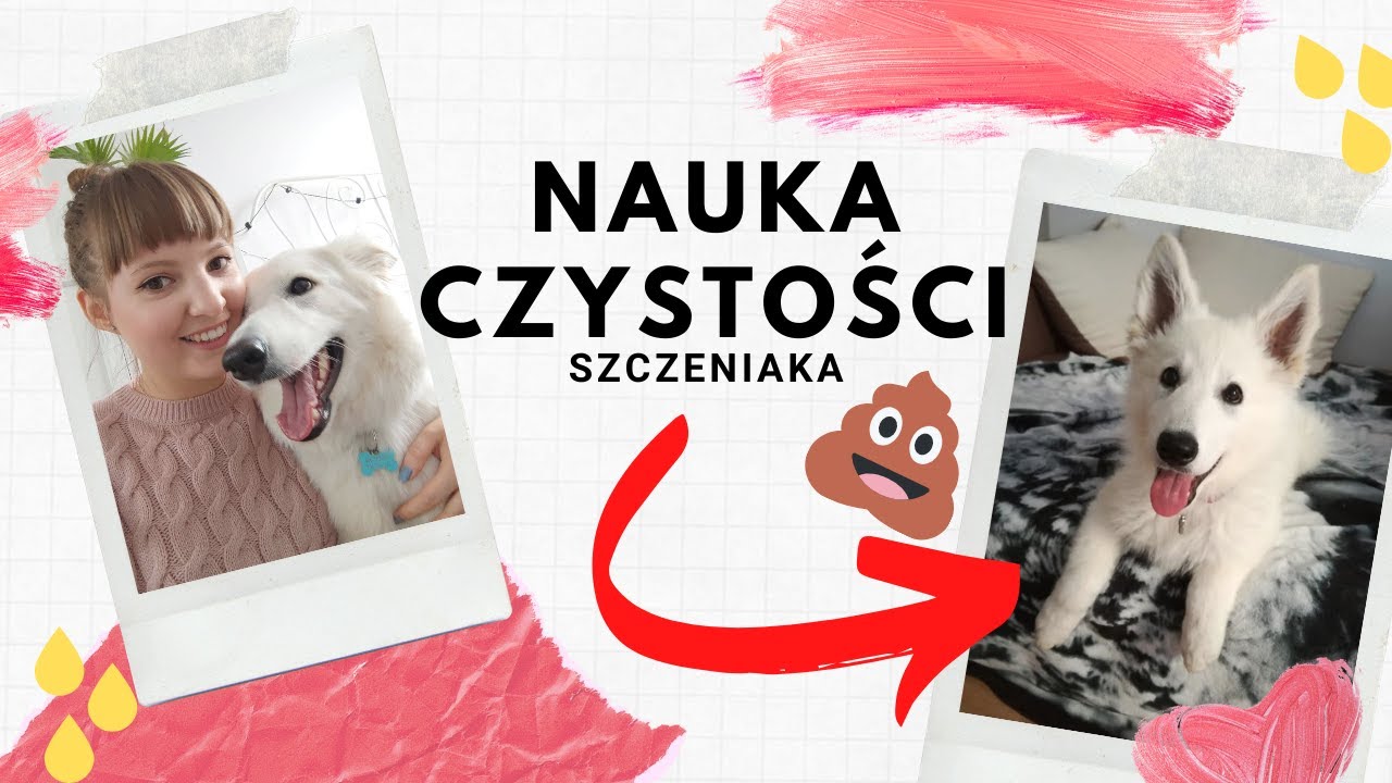 chusteczki pampers fresh clean zamykanie